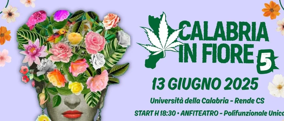 Calabria in Fiore: libri, musica e diritti nell’edizione 2025 del festival antiproibizionista all’Unical