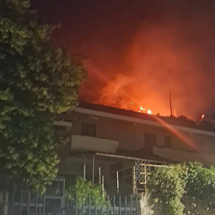 Incendio a Fiumefreddo Bruzio: fiamme sulla collina, domato il rogo nella notte