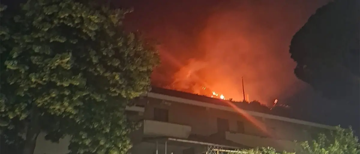 Incendio a Fiumefreddo Bruzio: fiamme sulla collina, domato il rogo nella notte