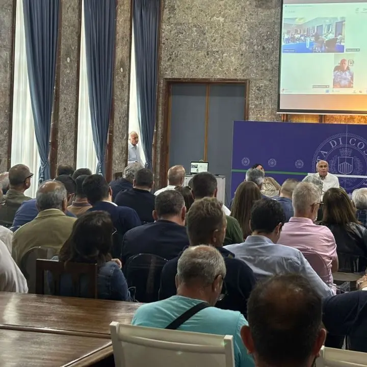 Tirocinanti inclusione sociale, delegazione sindaci cosentini incontrerà Occhiuto