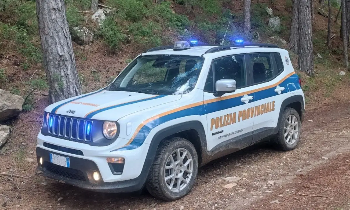 Si perde nei boschi della Sila, ritrovato sano e salvo dalla Polizia Provinciale: a salvarlo la conoscenza del territorio