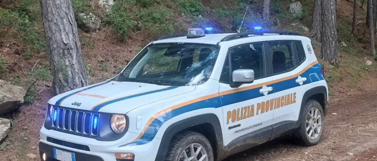 Si perde nei boschi della Sila, ritrovato sano e salvo dalla Polizia Provinciale: a salvarlo la conoscenza del territorio