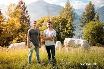 Startup Pascol verso 3° aumento capitale, food-tech per carne di qualità da piccoli allevatori