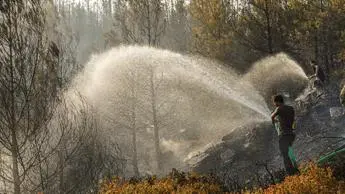Copernicus: regione del Mediterraneo si trasforma in un hotspot di incendi