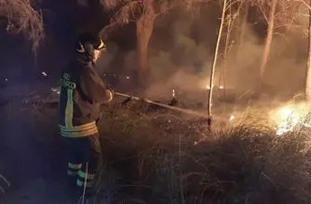 Incendi, Cingolani: \"Oltre il 70% è responsabilità dell'uomo\"