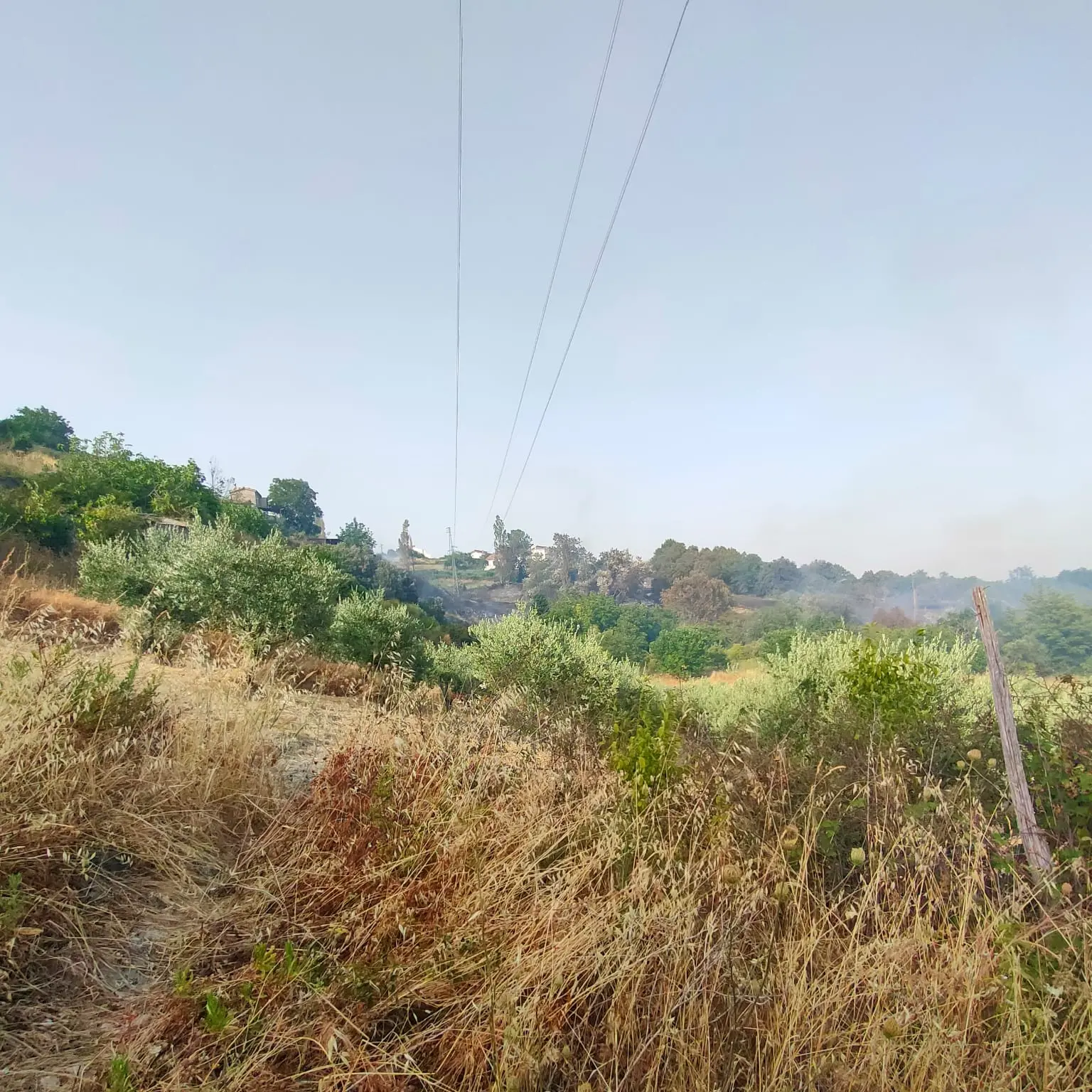 Acquaformosa, incendio spento. Capparelli: «Grazie anche ai volontari»