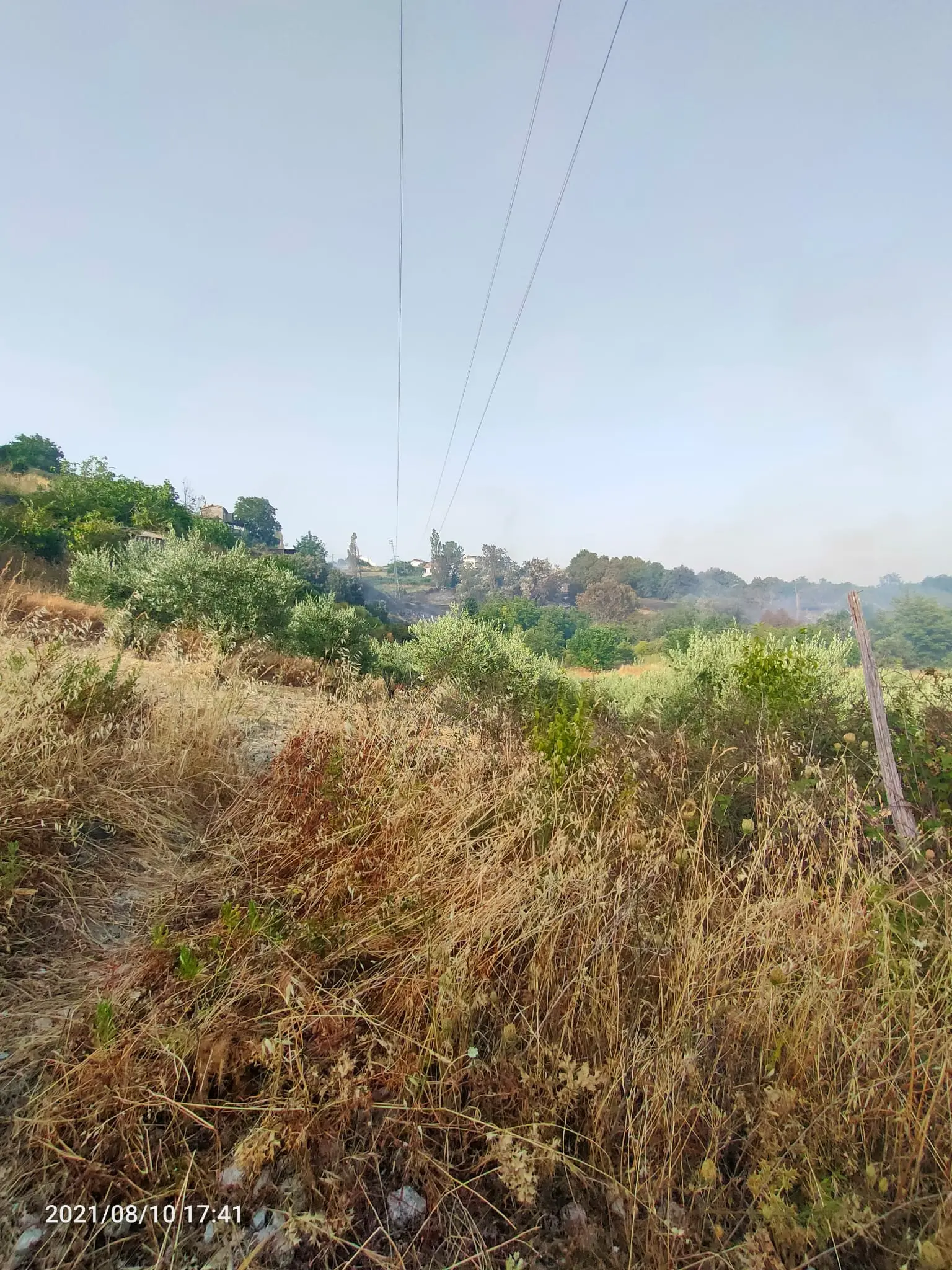 Acquaformosa, incendio spento. Capparelli: «Grazie anche ai volontari»