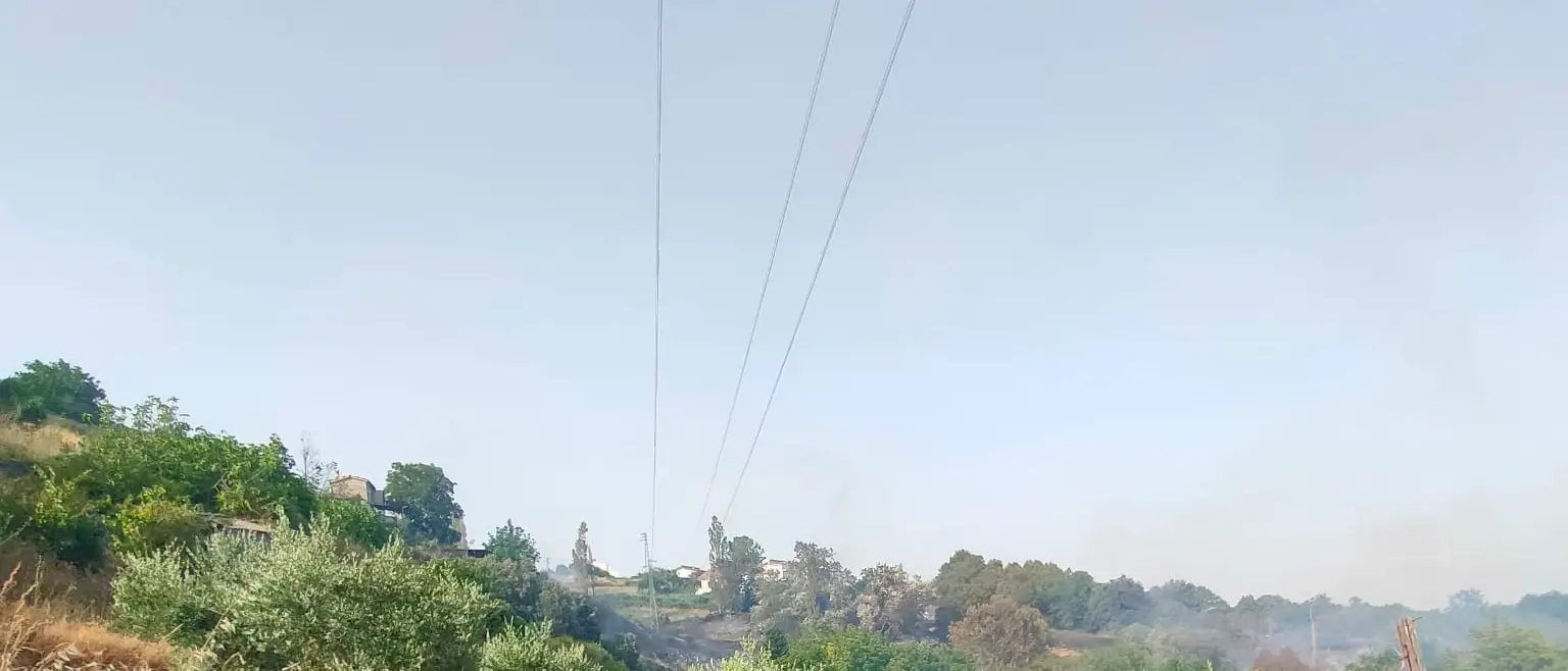 Acquaformosa, incendio spento. Capparelli: «Grazie anche ai volontari»