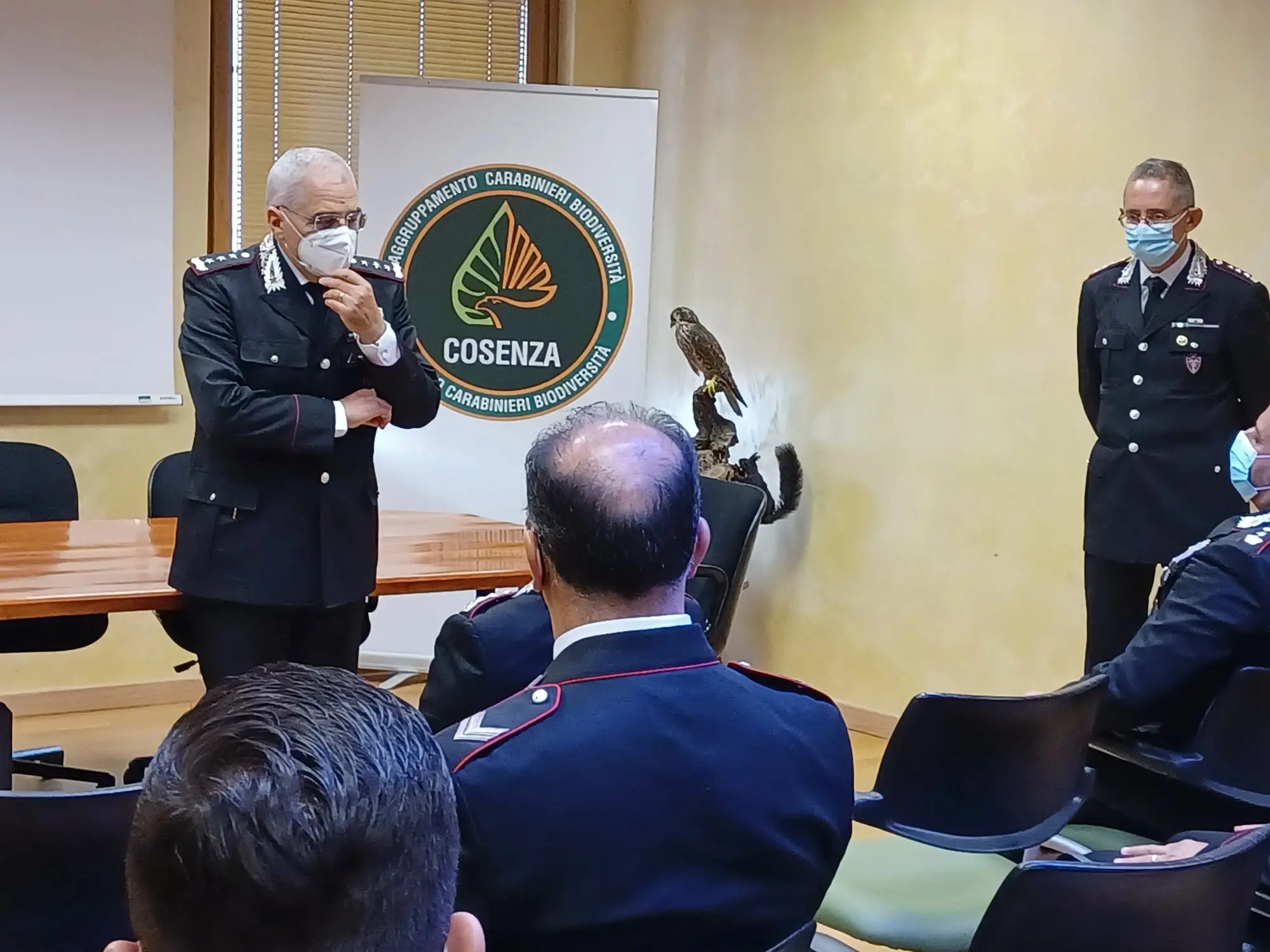 Incendi in provincia di Cosenza, Marzo: «C'è la mano dell'uomo»