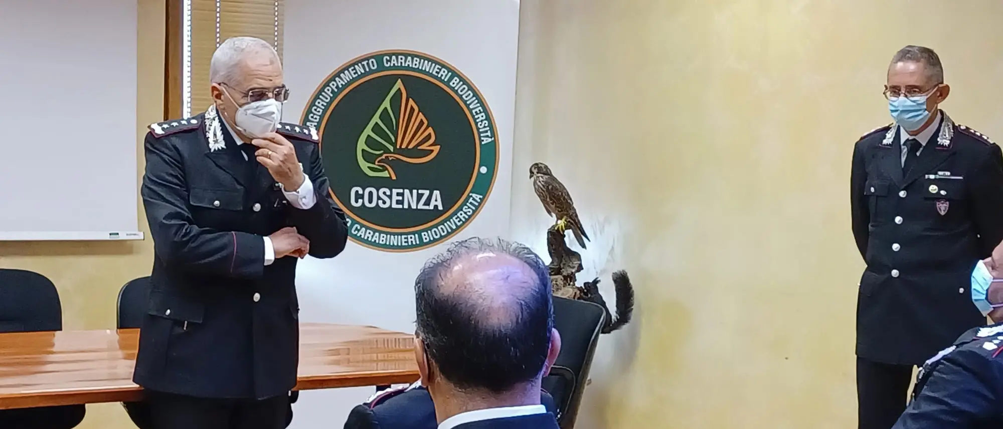 Incendi in provincia di Cosenza, Marzo: «C'è la mano dell'uomo»