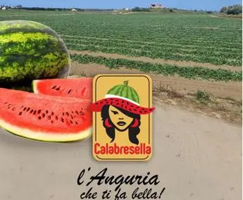 Iolanda Turrà: \"Consumi in frenata ma a ferragosto tutti a tavola con l'anguria Calabresella\"