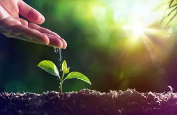 Bologna Award 2021, torna il premio per l'agroalimentare sostenibile