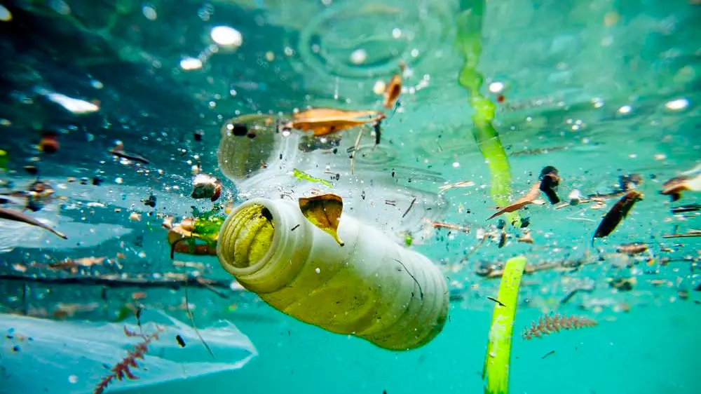 Trash floating on the Marseille shore line, Bouches-du-Rh\\u00F4ne, France. Water pollution is largely caused by human activity and has had a major impact on our local waterways and their ability to be healthy and function naturally. Water pollution, by the release of waste products and contaminants into surface runoff into river drainage systems, leaching into groundwater, liquid spills, wastewater discharges, eutrophication and littering. Pollution is the introduction of contaminants into an environment that causes instability, disorder, harm or discomfort to the ecosystem i.e. physical systems or living organisms. Pollution can take the form of chemical substances, or energy, such as noise, heat, or light. Pollutants, the elements of pollution, can be foreign substances or energies, or naturally occurring; when naturally occurring, they are considered contaminants when they exceed natural levels. Pollution is often classed as point source or nonpoint source pollution. , Christophe Launay