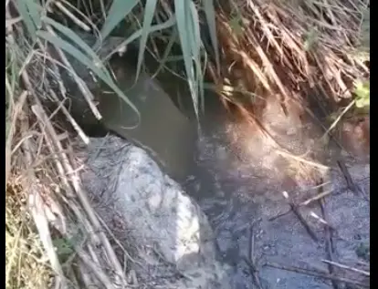 Quell'acqua nera che finisce nel mare di Belvedere Marittimo VIDEO