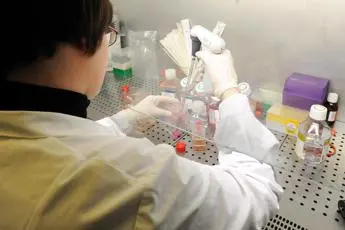 Tumori, scoperto nuovo meccanismo per 'affamare' il cancro