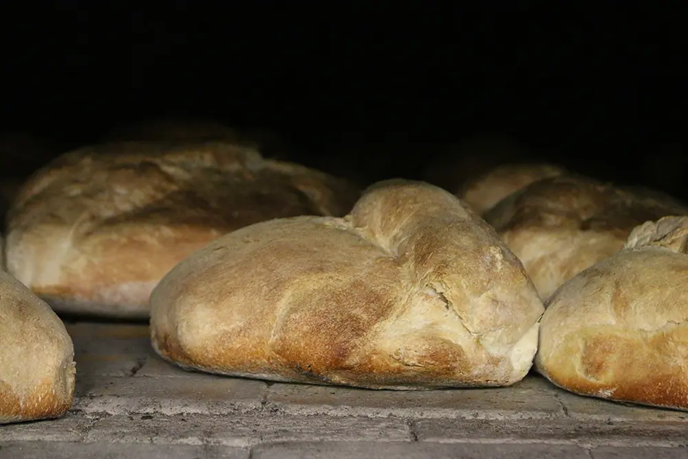 Cerchiara fa festa con il pane, l'olio e gli altri prodotti d'eccellenza