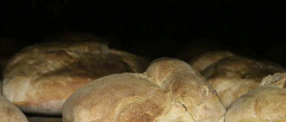 Cerchiara fa festa con il pane, l'olio e gli altri prodotti d'eccellenza