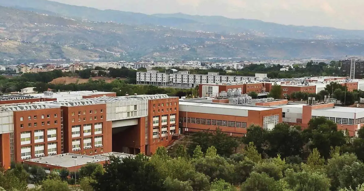 Nodo borse di studio Unical, gli studenti incontrano la vicepresidente Princi