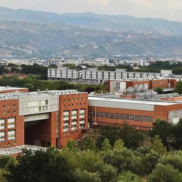 Nodo borse di studio Unical, gli studenti incontrano la vicepresidente Princi
