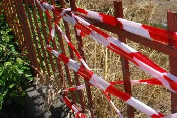 Catanzaro, ragazza uccisa dai cani: indagato il proprietario