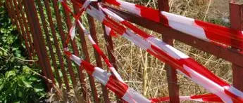 Catanzaro, ragazza uccisa dai cani: indagato il proprietario