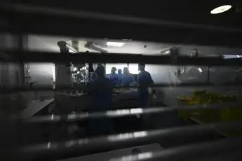 Covid, lo studio: rischio pandemia simile può raddoppiare nei prossimi decenni