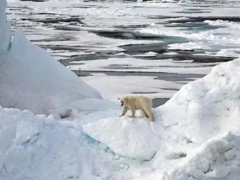 Clima, Wwf al Festival di Venezia: \"Bisogna agire\"