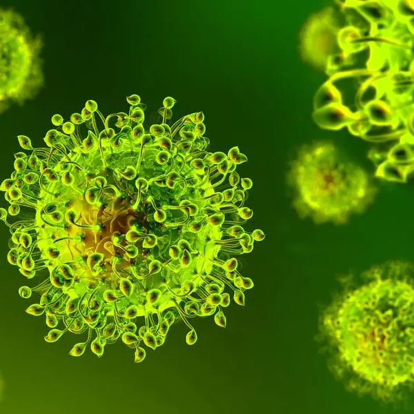 Bollettino Calabria, impennata di contagi: oggi sono 339 con un morto