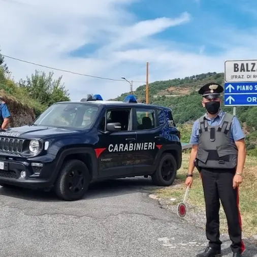 Rogliano, droga nascosta in cantina. Denunciato un uomo