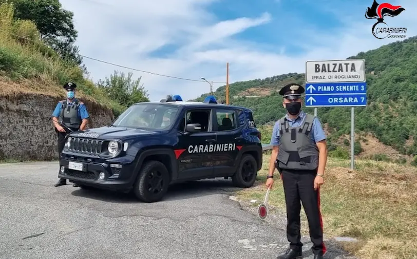 Rogliano, droga nascosta in cantina. Denunciato un uomo