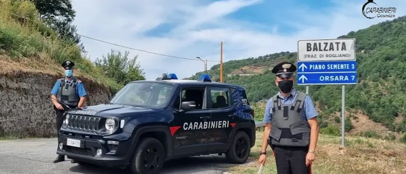 Rogliano, droga nascosta in cantina. Denunciato un uomo