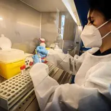 Covid, disturbi intestinali persistono dopo 5 mesi: studio italiano