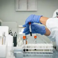 Covid, Iss: \"Da interferone ruolo chiave per prevenire progressi virus\"