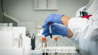 Covid, Iss: \"Da interferone ruolo chiave per prevenire progressi virus\"