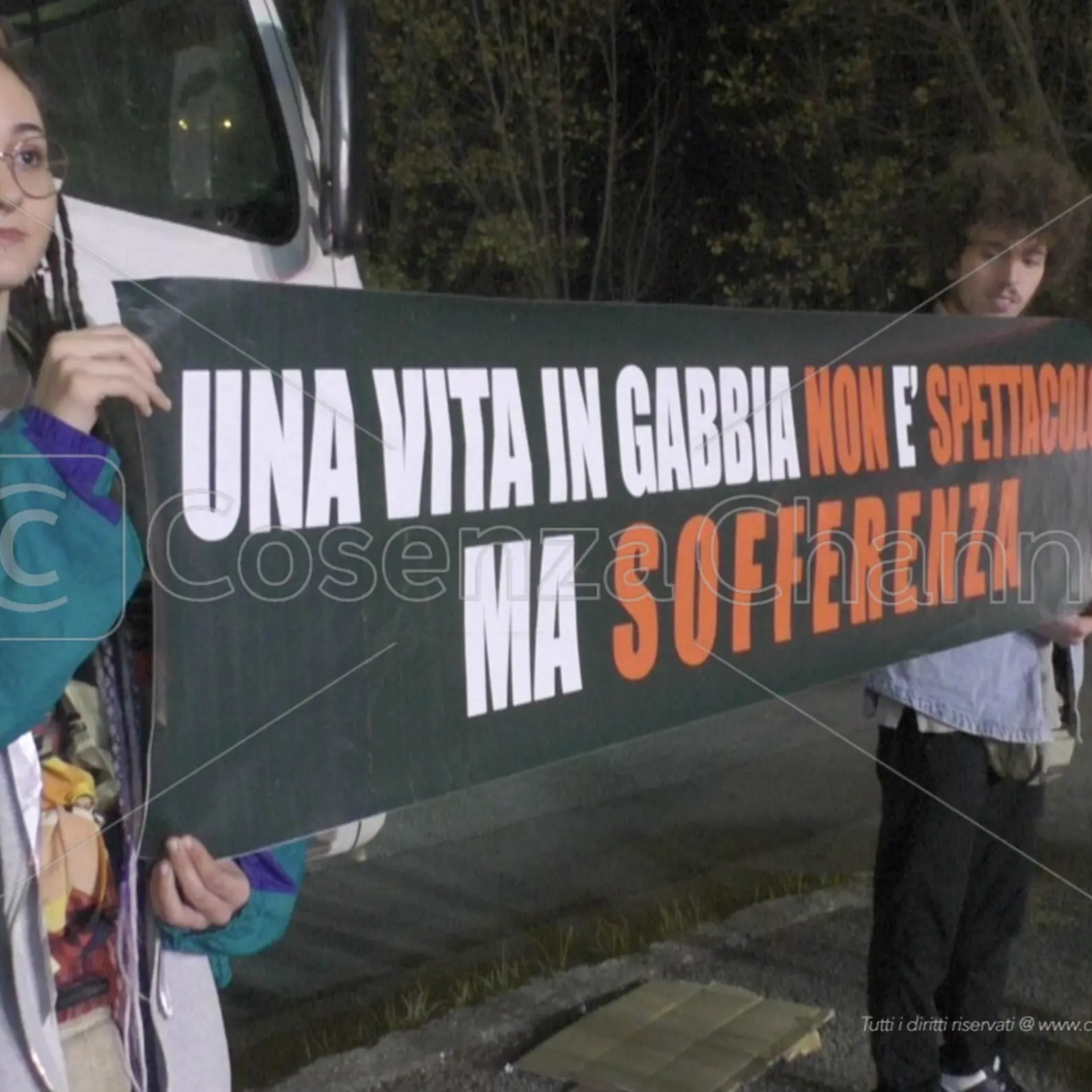 Rende, animalisti protestano davanti al circo e arrivano i carabinieri | VIDEO