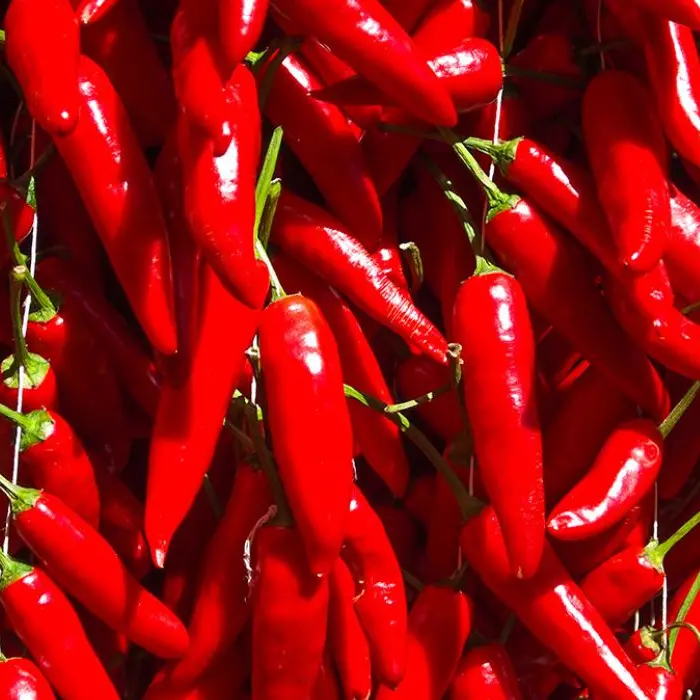 Boom di vendite per il Peperoncino calabrese. «Non è stato toccato dalla crisi economica»
