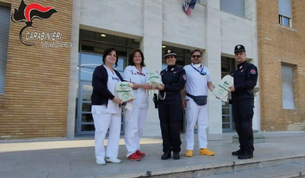 La Befana dei carabinieri forestali nei reparti pediatrici di Cosenza e Castrovillari
