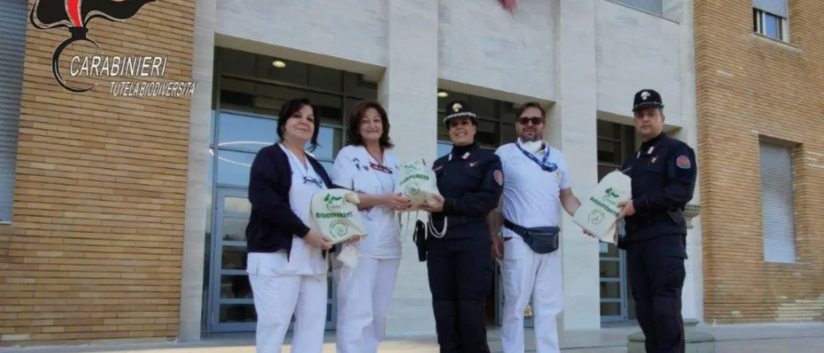 La Befana dei carabinieri forestali nei reparti pediatrici di Cosenza e Castrovillari