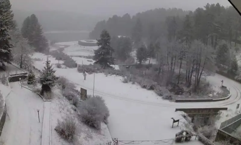 Meteo in Calabria, ci siamo: arrivano gelo e neve. Previste forti raffiche di vento