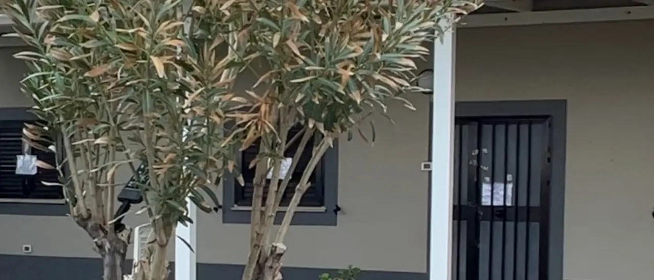 Crosia, indagini a tutto campo sull'incendio alla casa del sindaco | VIDEO