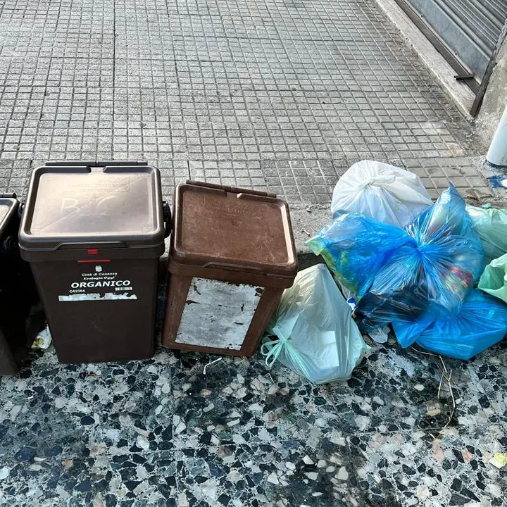 Raccolta differenziata, a Cosenza un incremento del 2,23% | I DATI