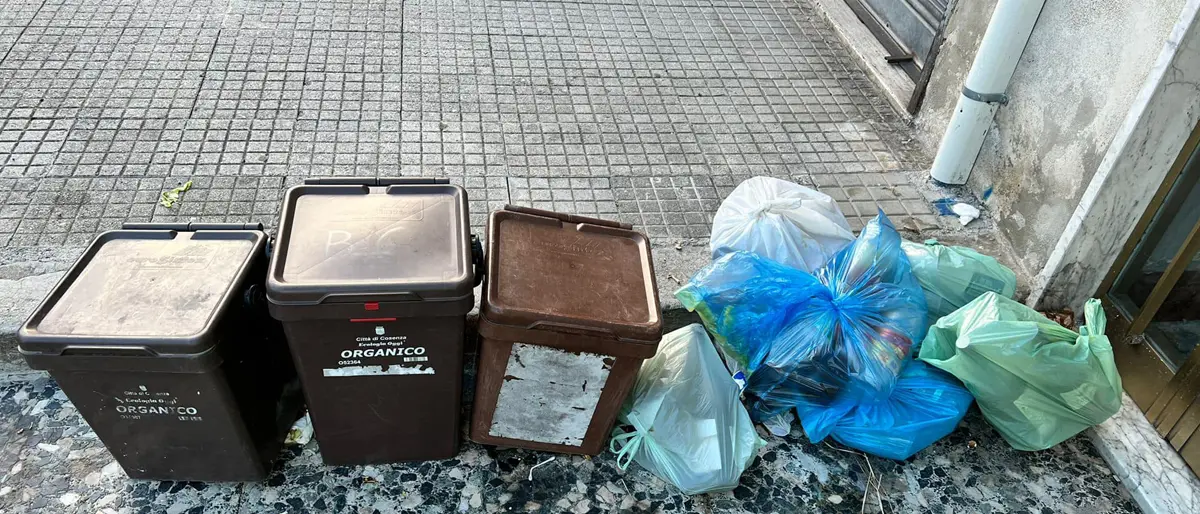 Raccolta differenziata, a Cosenza un incremento del 2,23% | I DATI