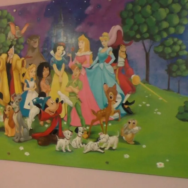 Cetraro, ragazzi del liceo artistico regalano 32 dipinti al reparto di Pediatria