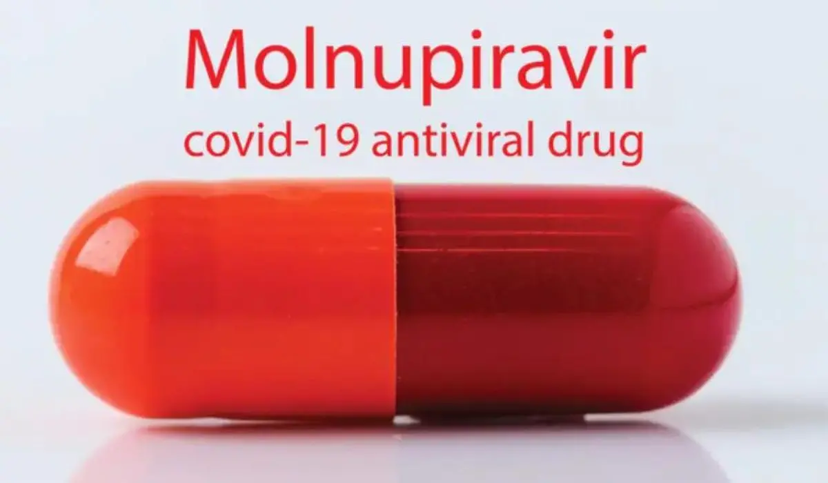 Covid, la pillola Merck non riduce morti e ricoveri in vaccinati a rischio: ecco lo studio