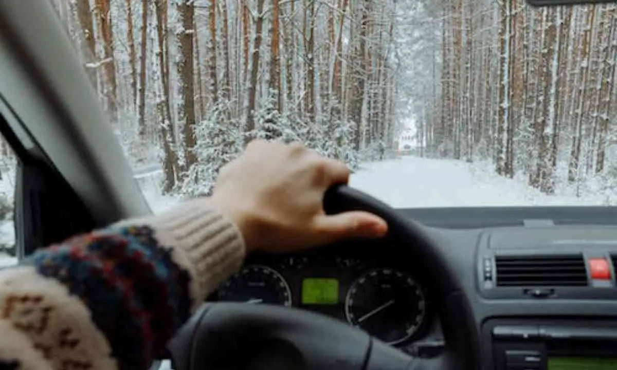 Disavventura nel Pollino: 15 auto bloccate per ore nella neve