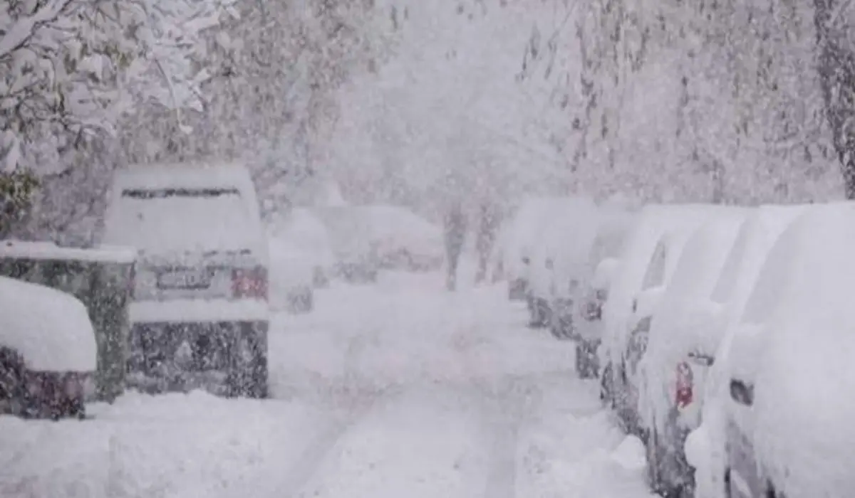 Allerta gialla per la neve, le scuole chiuse domani in provincia di Cosenza - LIVE