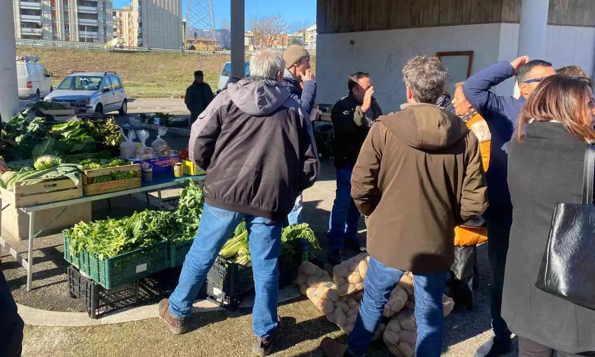 Cosenza, al vaglio la riapertura del mercato di via Asmara per due giorni a settimana: i contadini convocano un'assemblea