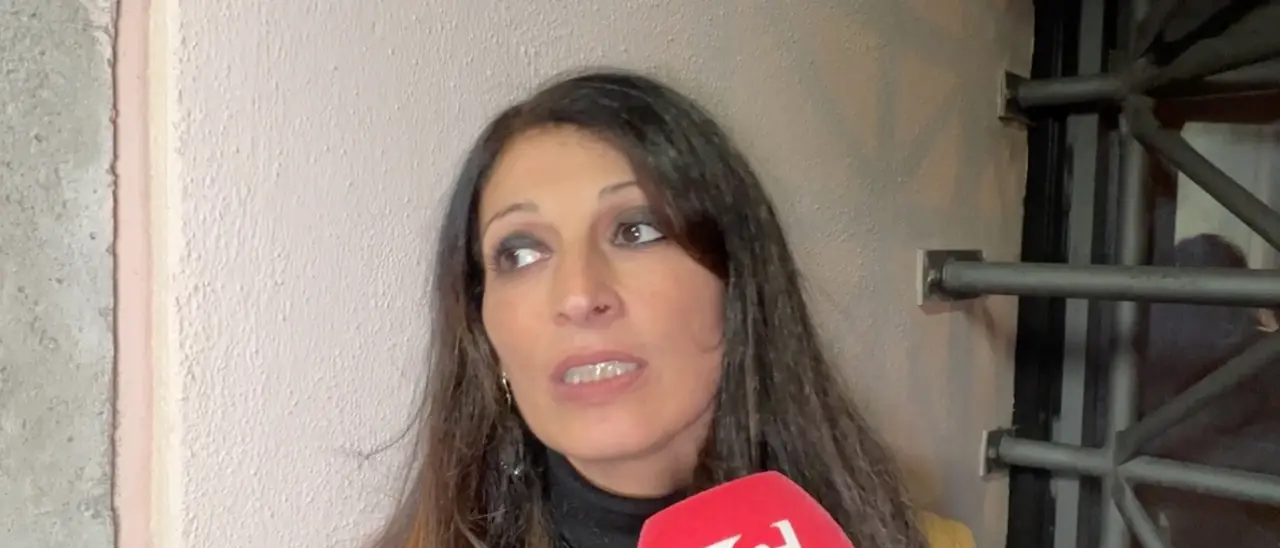 Corigliano-Rossano, dopo l'aggressione del pitbull si apre il dibattito sulle contromisure | VIDEO