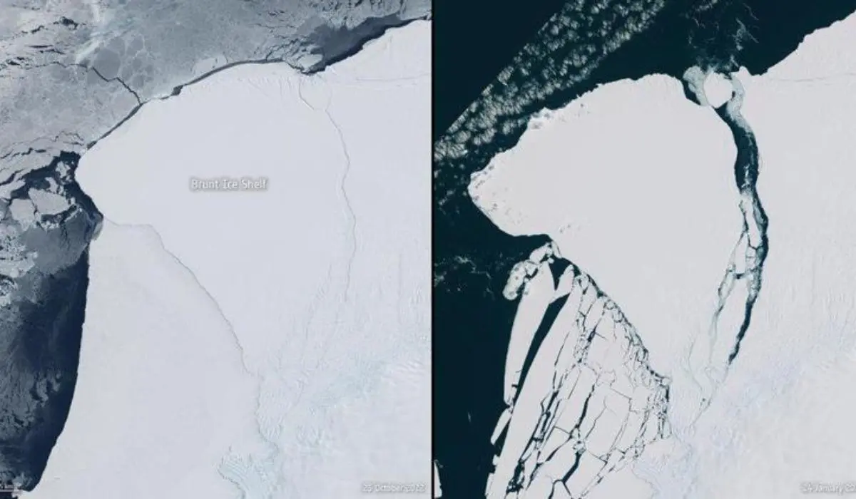 Si stacca un iceberg dall'Antartide: è cinque volte più grande di Malta