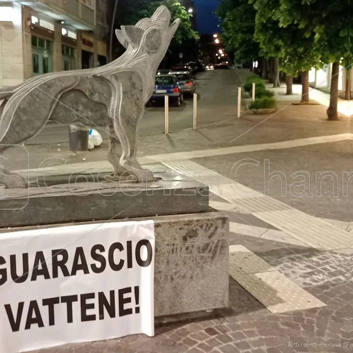 Curva Sud e Curva Nord: «Diserteremo Cosenza-Parma, Guarascio vada via»